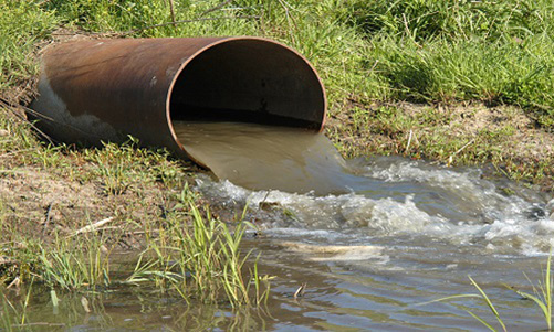 Cần[-]Thơ:[-]Xả[-]nước[-]thải[-]vượt[-]quy[-]định,[-]Hợp[-]tác[-]xã[-]Kim[-]Hưng[-]bị[-]phạt[-]126[-]triệu[-]đồng